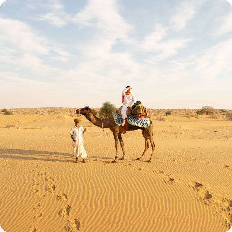Camel Ride